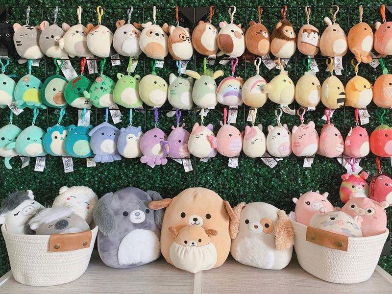 Filled my display case! : r/squishmallow