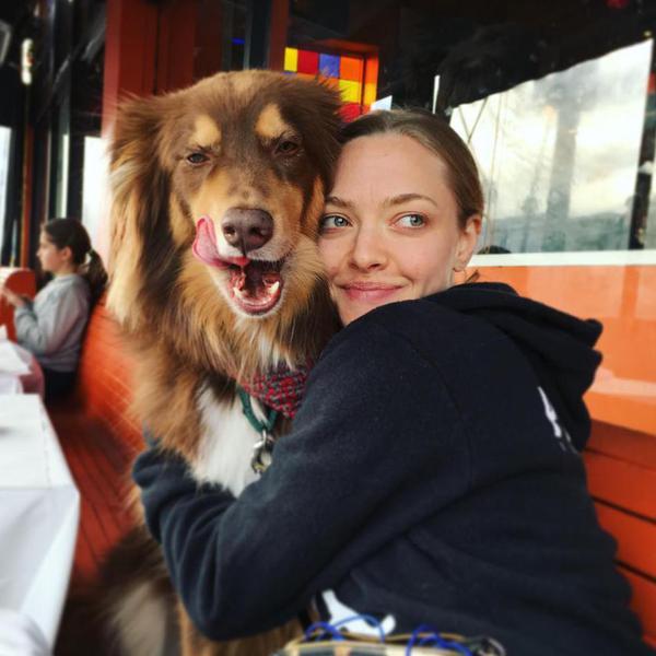 Instagram's Most Famous Dog-Mom Bonds Are Everything