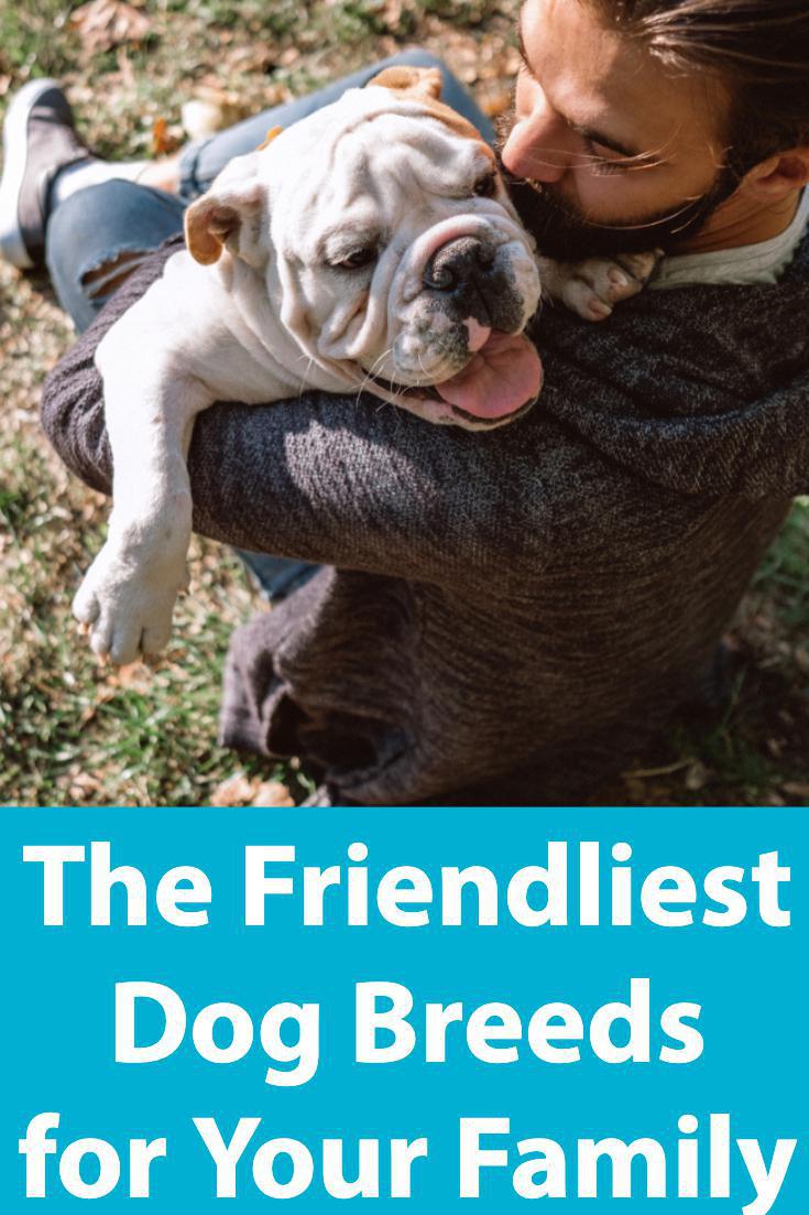 what dogs are the most friendly