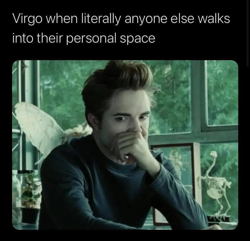 30 Funny Virgo Memes That Totally Get This Practical Sign